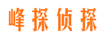 鲅鱼圈找人公司